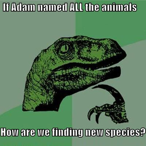 adam named the animals