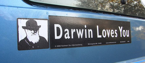 darwin loves you